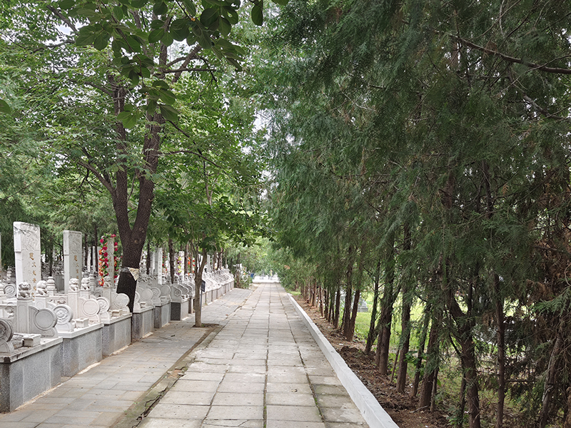 華夏陵園園區(qū)環(huán)境